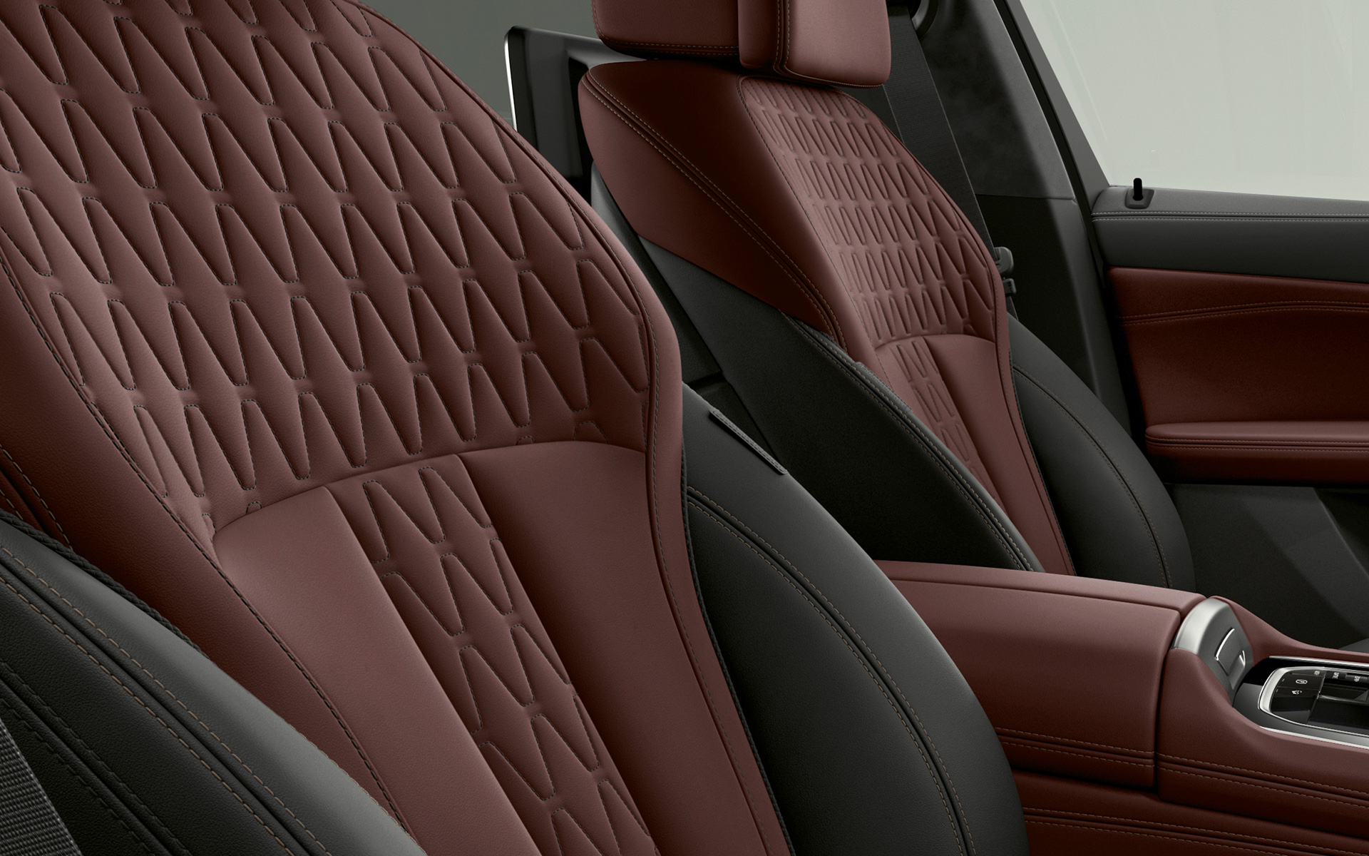 BMW X6 Individual, G06, 2019, oblazinjenje BMW Individual BMW X6 Individual, G06, 2019, oblazinjenje BMW Individual, pogled od blizu